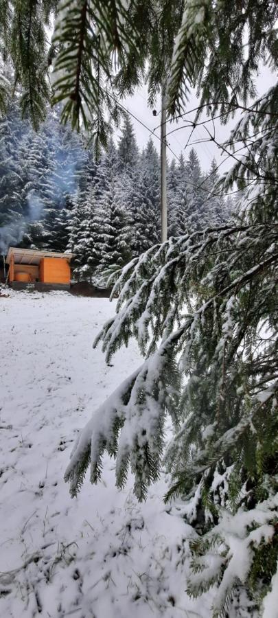 Сімейний Номер 1 Садиба У Ані Synevyrsʼka Polyana Exterior foto